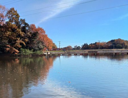 大安トラウトレイク釣果